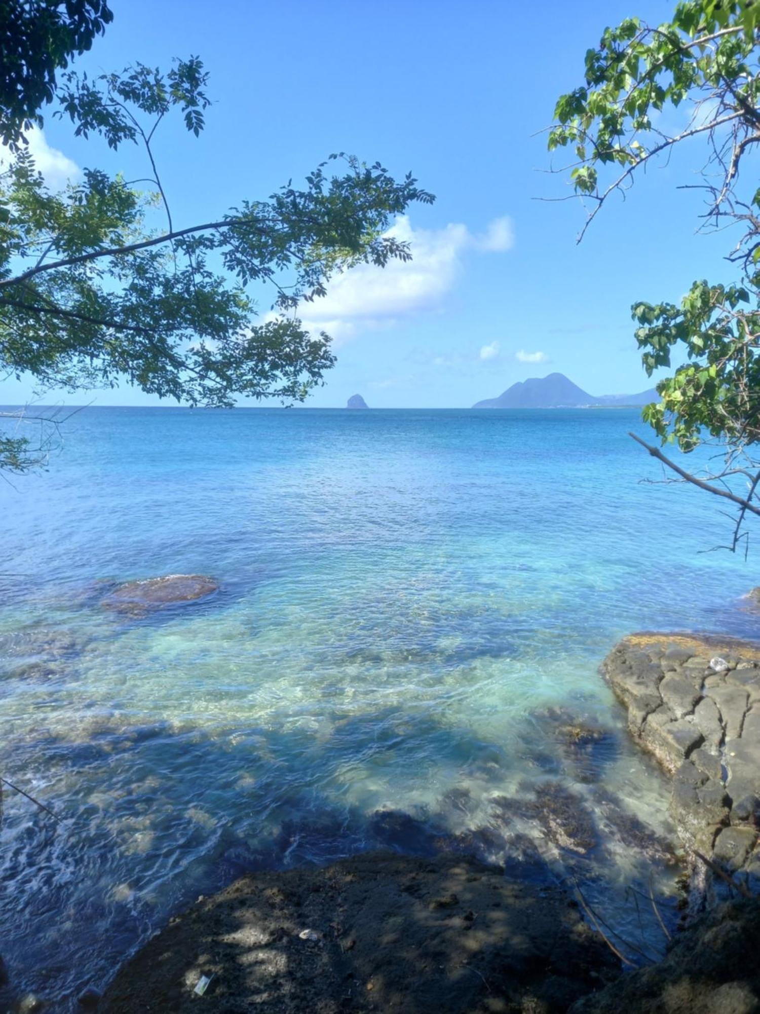 Appartement A Anse Mabouya En Rez De Jardin Avec Piscine A Proximite Des Plages Sainte-Luce Extérieur photo